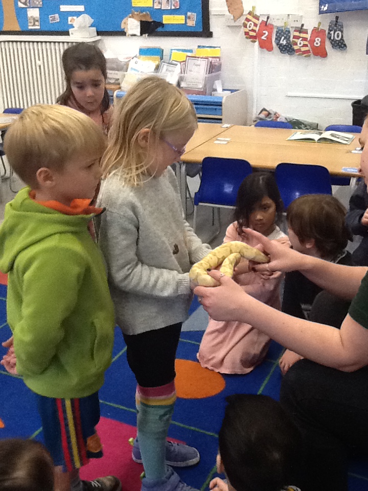 Pictures from our nocturnal workshop from Wild Science!