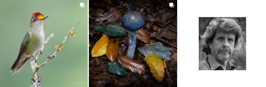 Chilecreativo tweet media