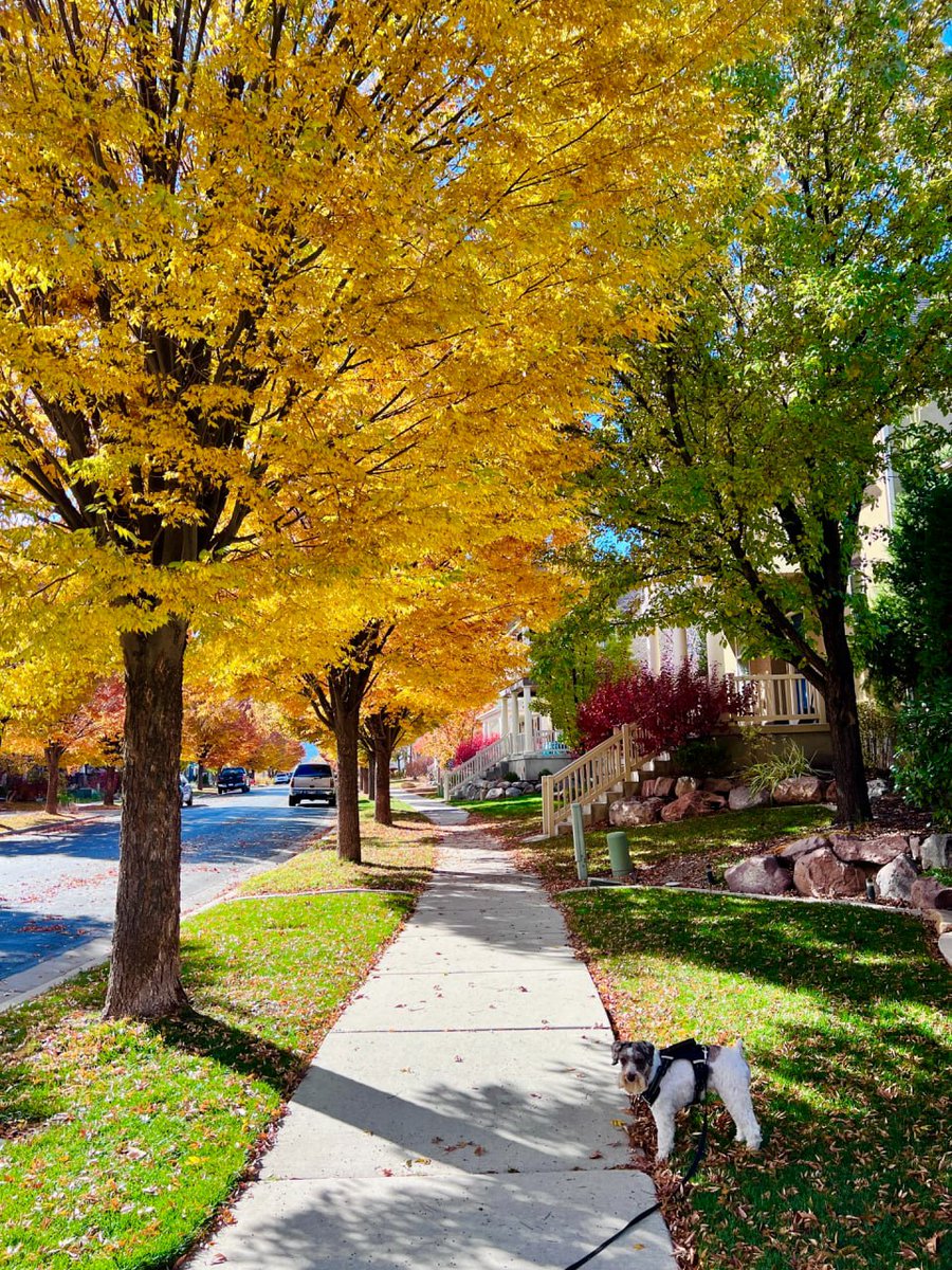 brethoooo's tweet image. 