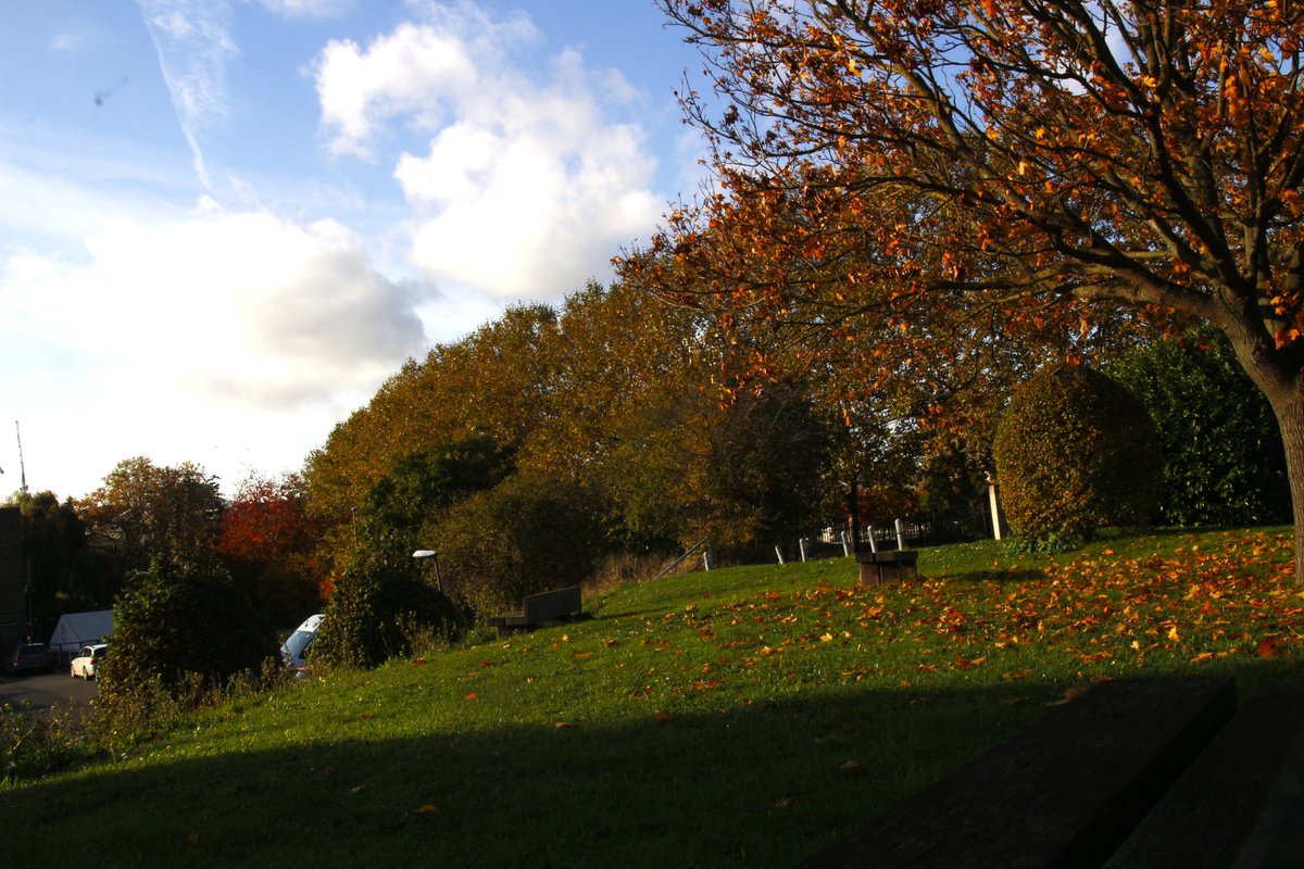 3millsstudios tweet media