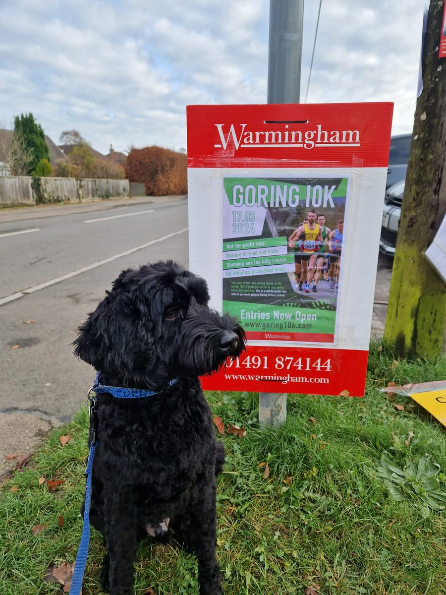 Boards are going up throughout the village promoting the Goring10K - perfect timing - as if you sign up now, it simply won't matter how many mince pies you eat throughout the festive season😉