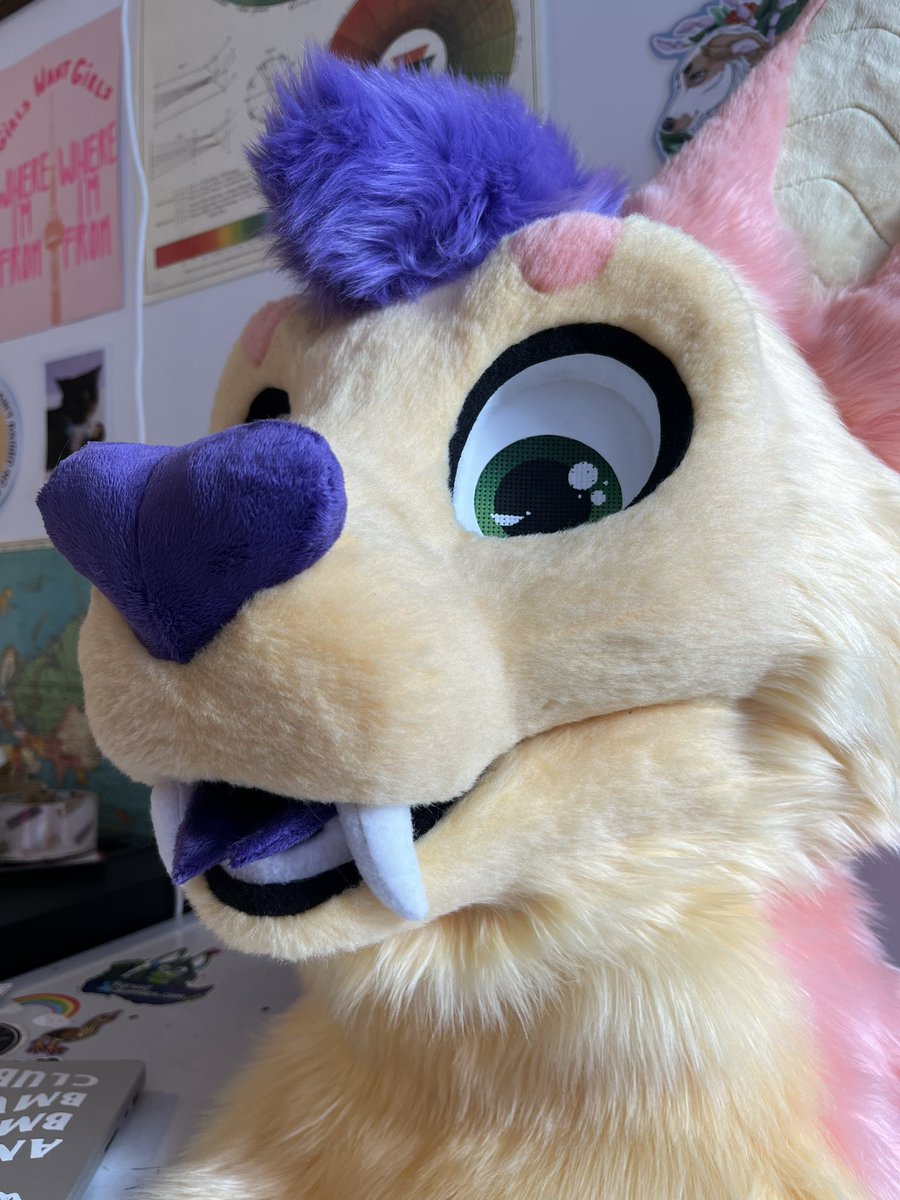 🌟YBL Suits🌟🇨🇦 tweet media