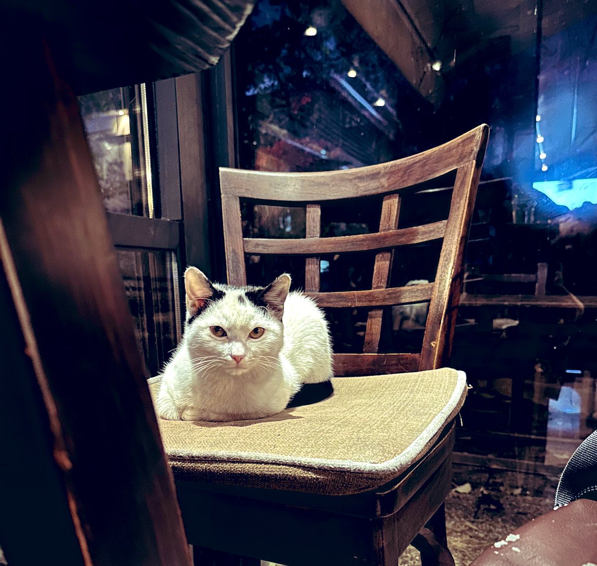 Cici i ja pijemo kafu 😻