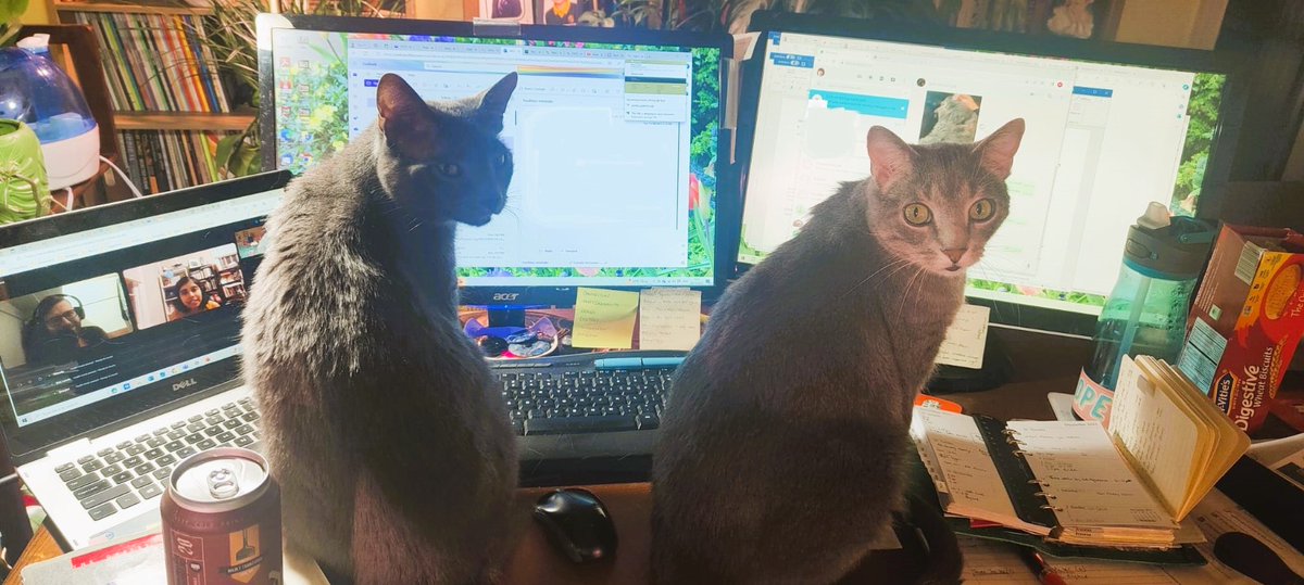 We just recorded our third and final episode on Penelope last night, and it should appear on your phones Friday if I get it edited on time! #Ulysses #JamesJoyce