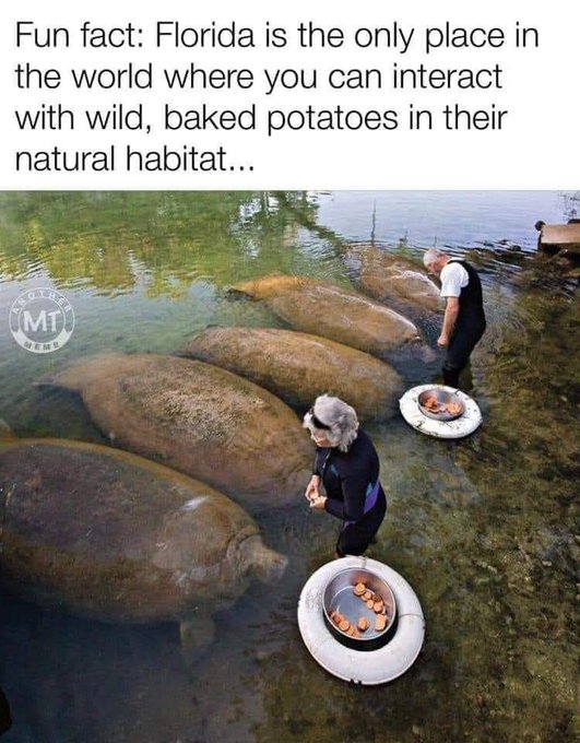 Yes! Haha @notsofiacoppola https://t.co/yHNSoQuGsE<a class="tags" target="_blank" title="On Twitter" href="/?out=eyJ0eXAiOiJKV1QiLCJhbGciOiJIUzUxMiJ9.eyJpYXQiOjE3MjA5NTgyNTAsImlzcyI6InR3cG9ybnN0YXJzLmNvbSIsIm5iZiI6MTcyMDk1ODI1MCwiZXhwIjoxNzUyNDk0MjUwLCJyZWRpcmVjdF91cmwiOiJodHRwczovL3R3aXR0ZXIuY29tL25vdHNvZmlhY29wcG9sYSJ9.WOlbvgdNkbwc6LGo8XTGVyy93Xn2RxqZHhSg93AwUUAIUNPUVQGQN6CZ9MNebAeIqy19TEpuvVPWgUUgOlDSlA">@notsofiacoppola</a><a href="/tag/myxanniversary"class="tags"><span>#myxanniversary</span></a>