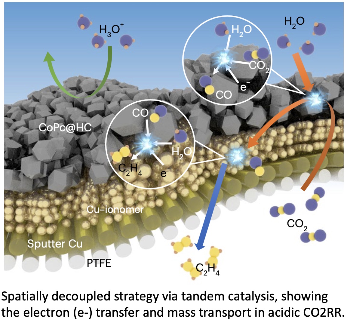 Speaking this aft at #23MRS re: just-published @NatureNano 'Efficient multicarbon formation in acidic CO2 reduction via tandem electrocatalysis' with @NorthwesternU @UofT CAS KIST Korea University @Tsinghua_Uni. Congrats Yuanjun Xiaoyan & Clark! bit.ly/3RnJiM5