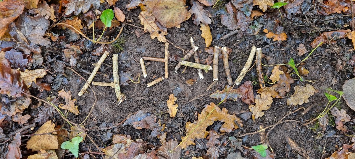 NativeWoodTrust's tweet photo. We were delighted to welcome the future woodland warriors from first and fifth class in Kilbeggan National School on Monday. We enjoyed our walk through Ardan Wood and doing some activities, including writing our names out in twigs on the forest floor! 🍂🍃 https://t.co/nXXW0QKiPs