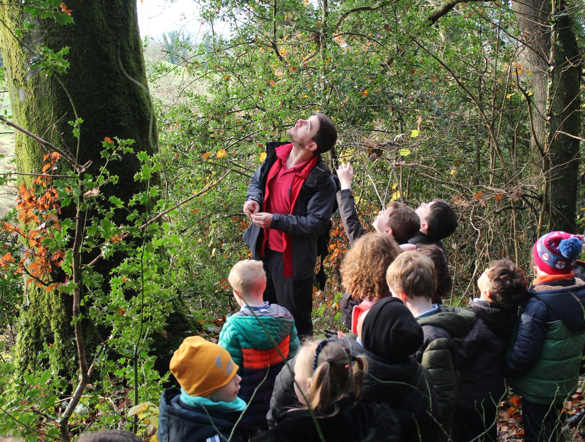 NativeWoodTrust's tweet photo. We were delighted to welcome the future woodland warriors from first and fifth class in Kilbeggan National School on Monday. We enjoyed our walk through Ardan Wood and doing some activities, including writing our names out in twigs on the forest floor! 🍂🍃 https://t.co/nXXW0QKiPs