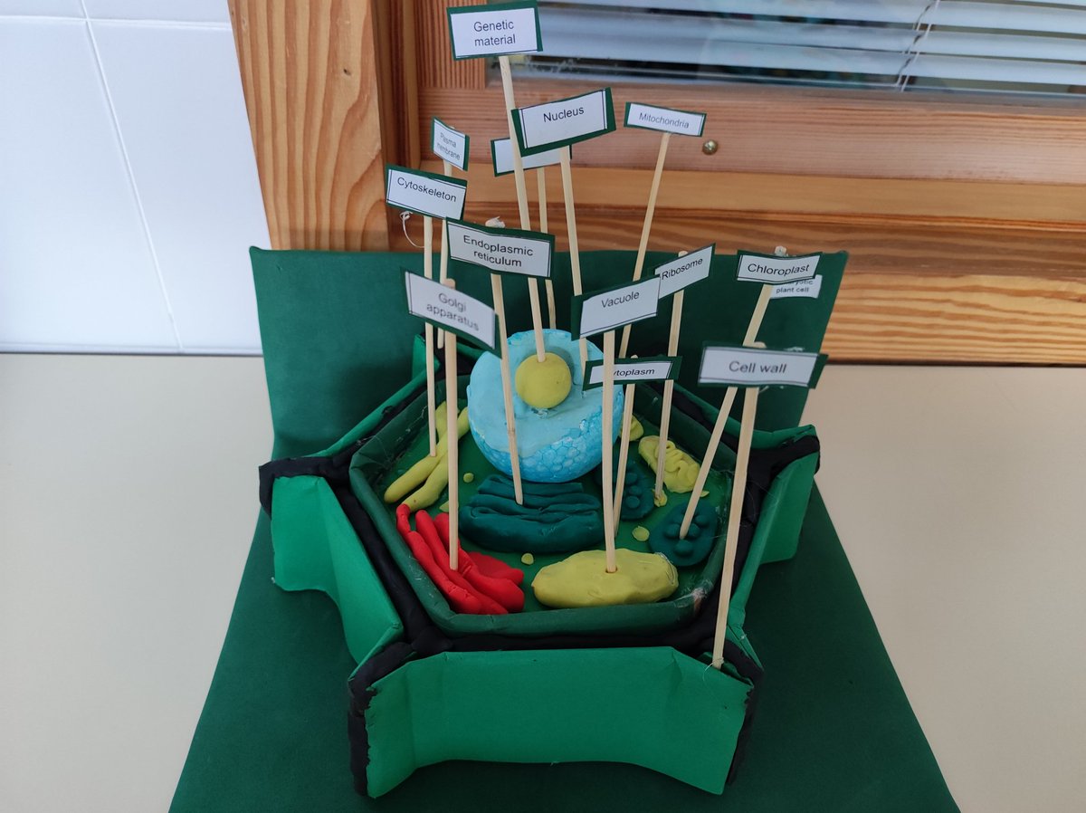 ernestocoy2's tweet photo. #ProfesBioGeo Maquetas de la célula realizadas por nuestro alumnado de 1°ESO en el IESO Pedanías Alta https://t.co/FEMWcreiBr