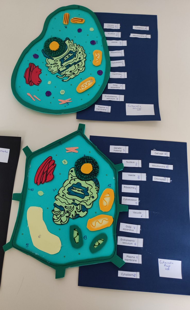 ernestocoy2's tweet photo. #ProfesBioGeo Maquetas de la célula realizadas por nuestro alumnado de 1°ESO en el IESO Pedanías Alta https://t.co/FEMWcreiBr