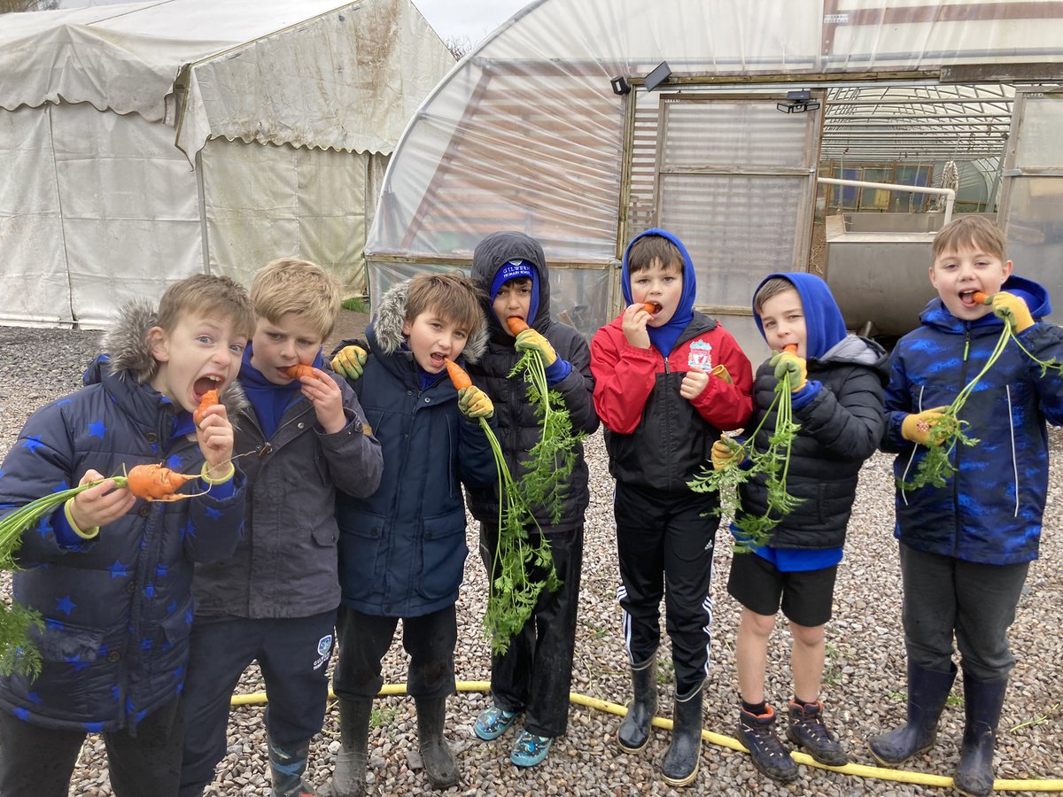 Gilwern School (@gilwern_school) on Twitter photo #GilwernYear5 have developed their understanding of growing vegetables and healthy food choices with the support of Catherine at Langtons Farm and <a href="/FoodSirFynwy/">Monmouthshire Food Partnership</a> #lh #GilwernYear5 have developed their understanding of growing vegetables and healthy food choices with the support of Catherine at Langtons Farm and <a href="/FoodSirFynwy/">Monmouthshire Food Partnership</a> #lh