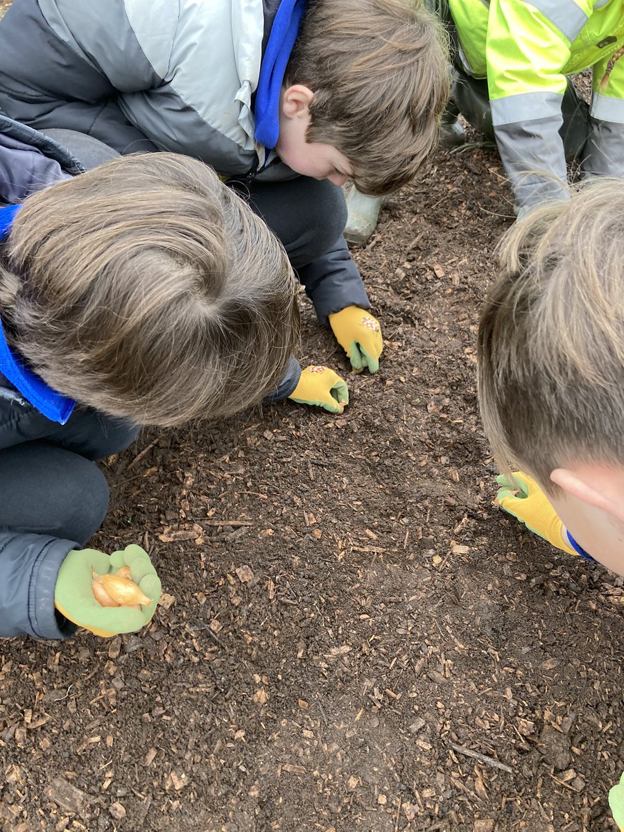 Gilwern School tweet media