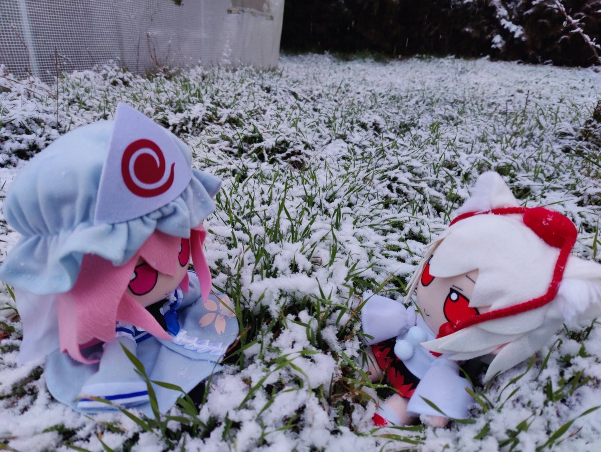 Fumo in snow
Fumo in snow