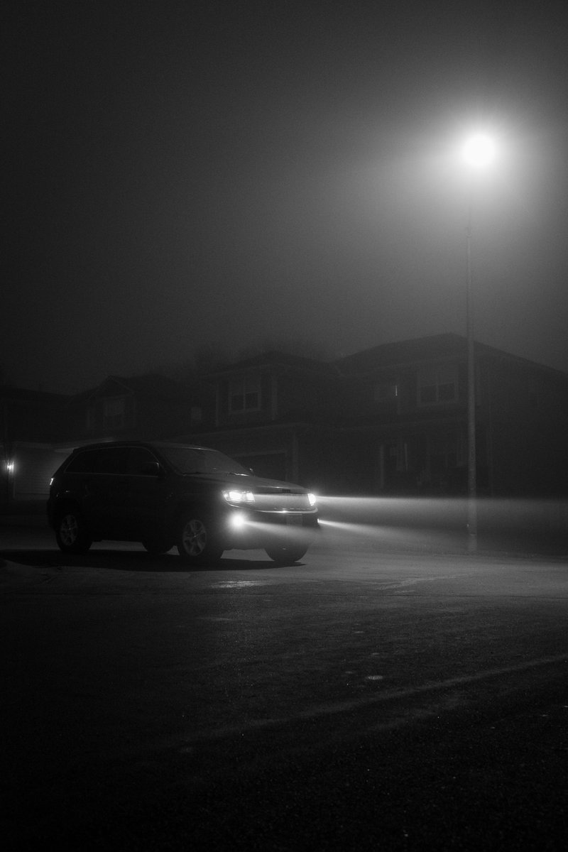 anybodyshoots's tweet image. QT a picture with fog