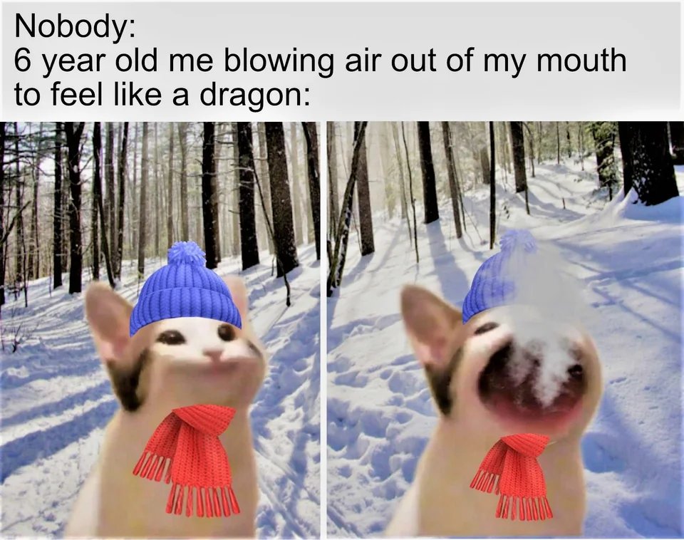 WholesomeMemes (@wholesomememe) on Twitter photo 
