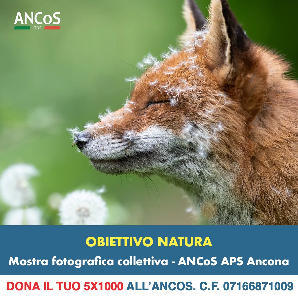Il Circolo Culturale Massimo Ferretti presenta una mostra fotografica collettiva dedicata alla fotografia naturalistica. L’inaugurazione ha luogo oggi alle ore 17.30 presso il prestigioso Palazzo dei Convegni di Corso Matteotti a Jesi.

Per maggiori info➡️ ancos.it/obiettivo-natu…