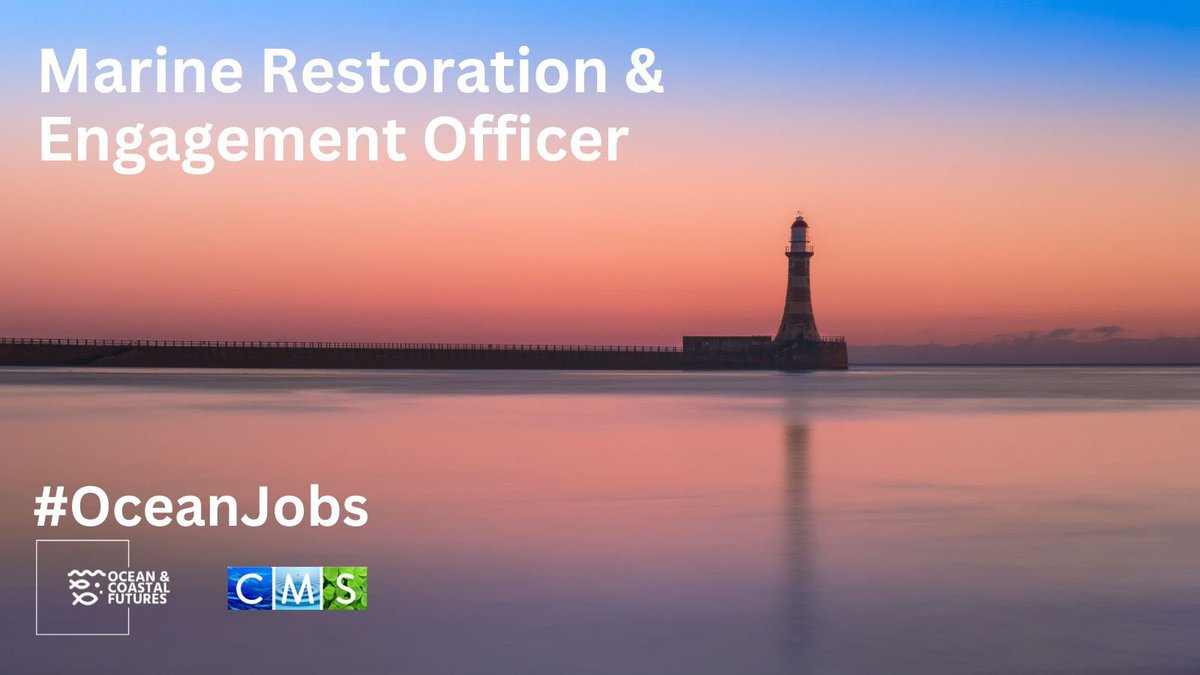 New job opportunity: Marine Restoration & Engagement Officer - @GWKNEC ▪️Salary: £25k ▪️Location: Sunderland/home ▪️Closes: 12:00 (GMT) 8 December ▪️Full details here 👉cmscoms.com/?p=37136 Sign up for our CMS/OCF #OceanJobs alerts here 👉 bit.ly/3MiyV7i #MarineJobs