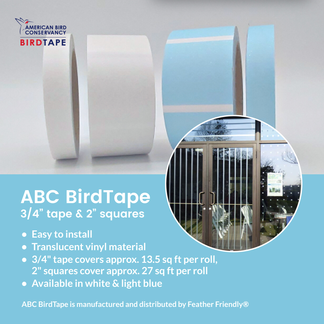 FeatherFriendly's tweet image. We are proud sellers of ABC BirdTape!

This DIY collision deterrent solution is offered in light blue or white color options and 3/4" or 2" squares.

#glasscollisions #birdsafeglass #featherfriendly #birds #birdfriendlybuildings #birdfriendlyhomes