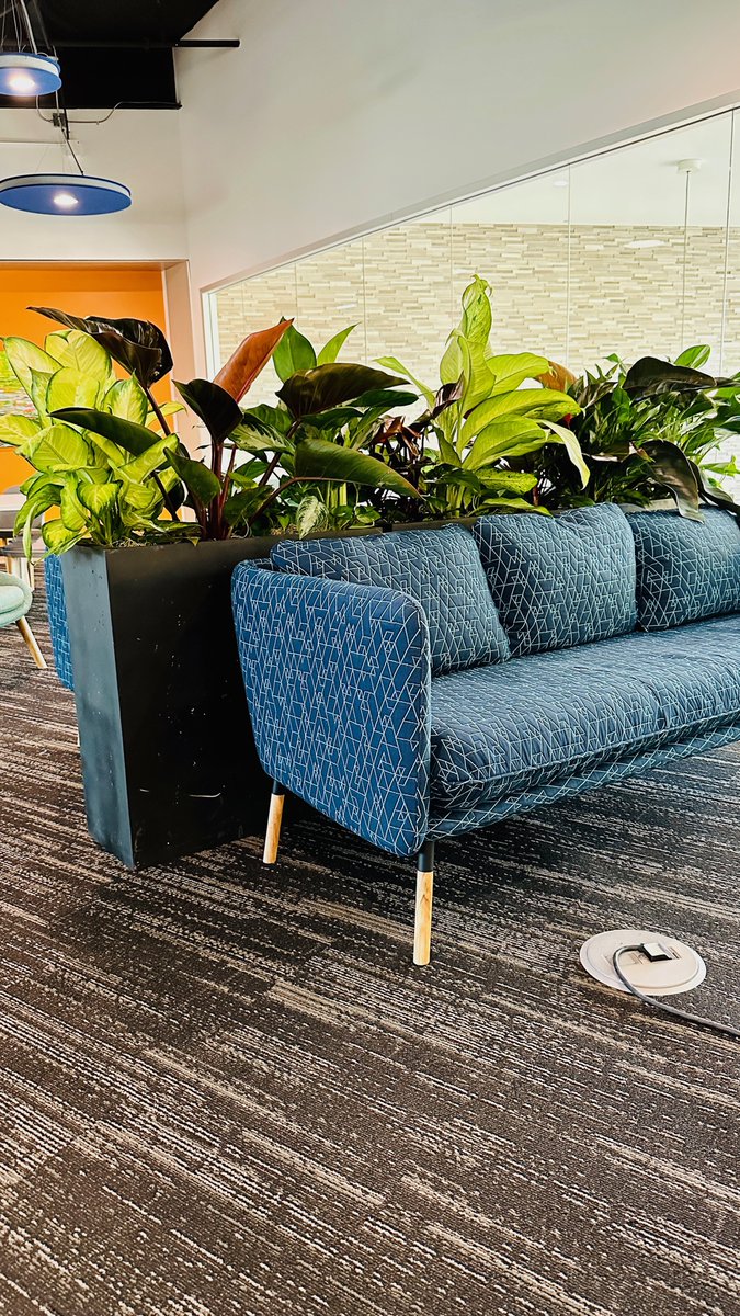 wrightgardnerSF's tweet photo. Adding a touch of 'jungle vibes' to our paperwork with our beloved office plant. This is how we turn 'surviving' work into 'thriving' at work! Feel free to contact us at 415-431-3632 or email sales@thewrightgardner #greenoffice #plantpoweredproductivity #thrivingnotsurviving https://t.co/65vISeTCFP
