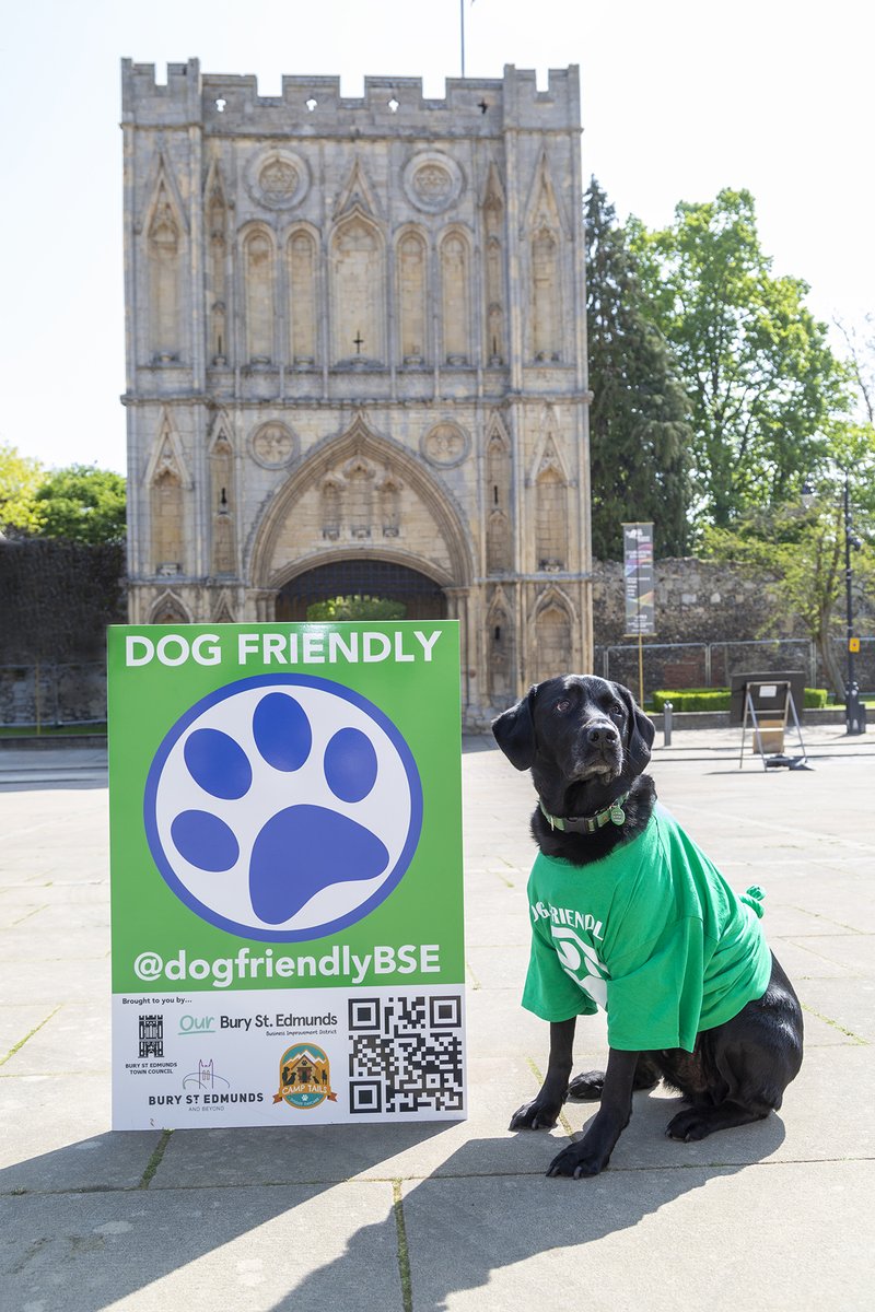 Our Chief Executive Officer, <a href="/MarkourbseBID/">Mark Cordell</a>  and Jon Kay from <a href="/camptailsbse/">Jon - Camp Tails</a> Doggy Day Care will be on <a href="/BBCLookEast/">BBC East</a> today at 6:30 pm, talking about our dog-friendly businesses and the fantastic Dog Friendly Bury St Edmunds scheme that we have in place, so make sure you watch! 🐶