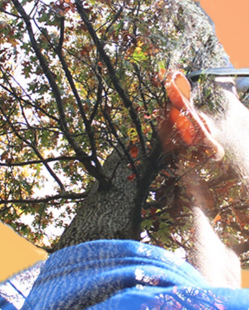 MTMS Falcons tweet media