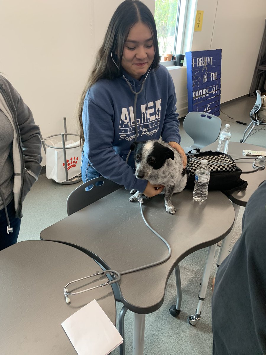 Practicum students are preparing to volunteer their time this weekend at The Empty Shelter Project. Students are brushing up on their skills by practicing taking vitals on various pets that have come in for services this week.