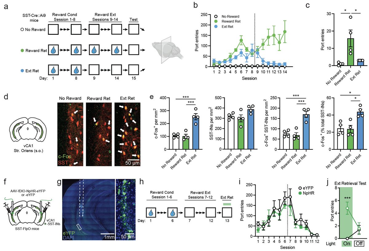 Brain Matters tweet media
