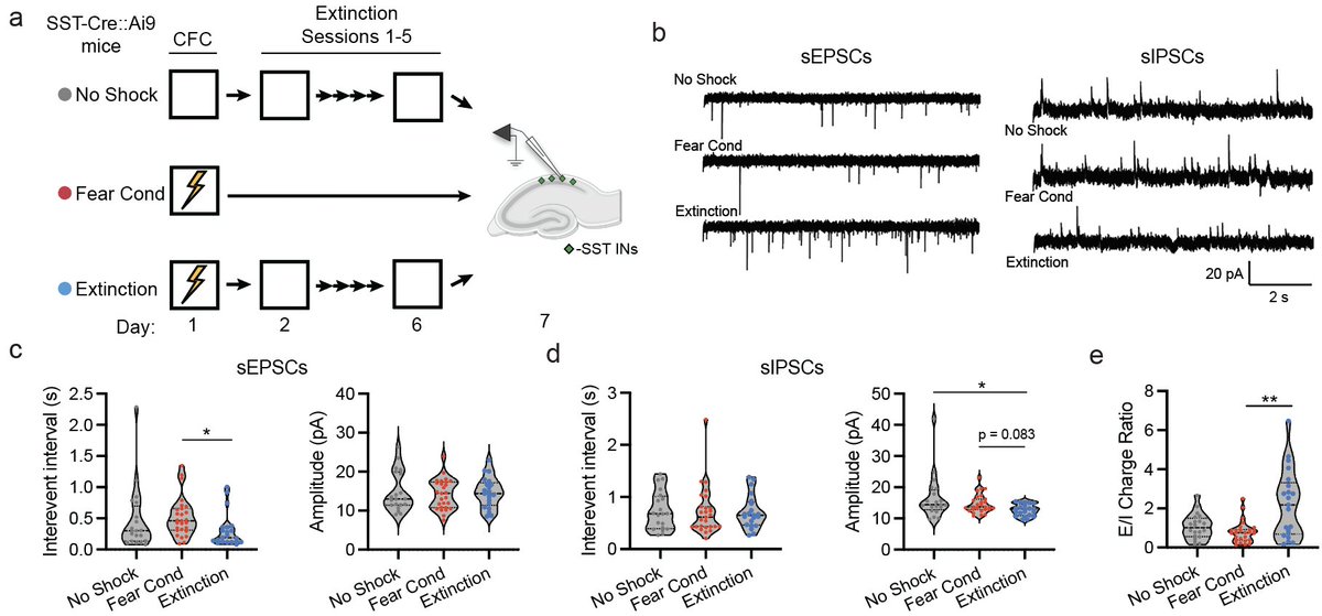 Brain Matters tweet media