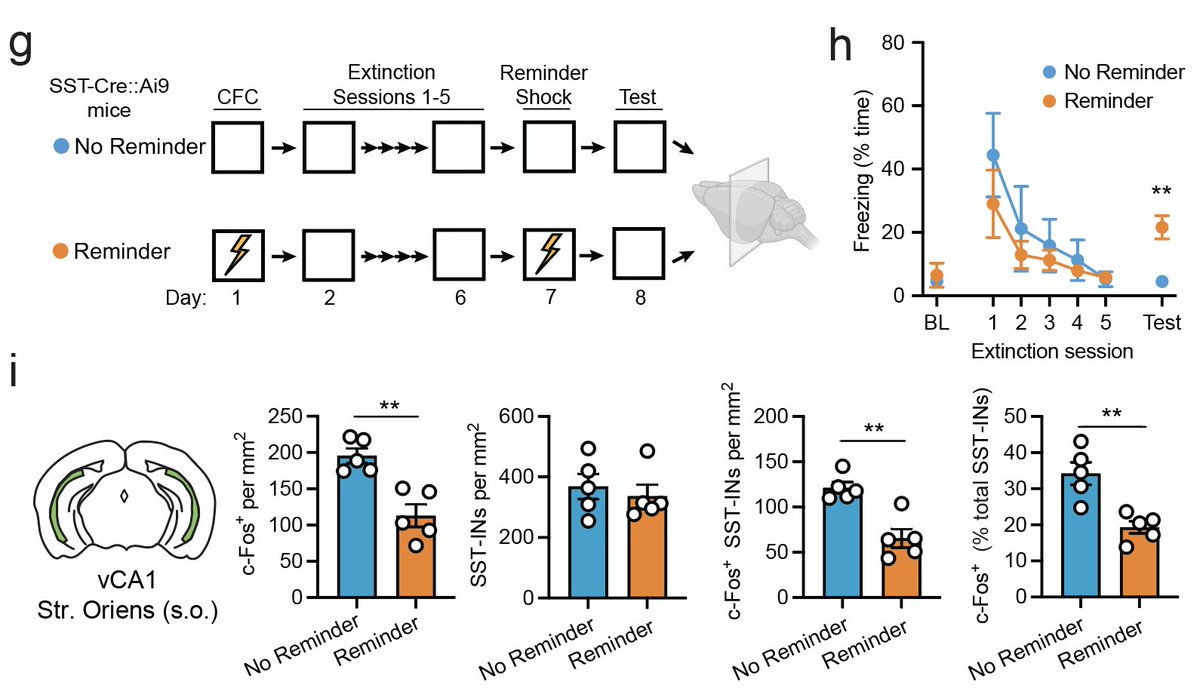 Brain Matters tweet media