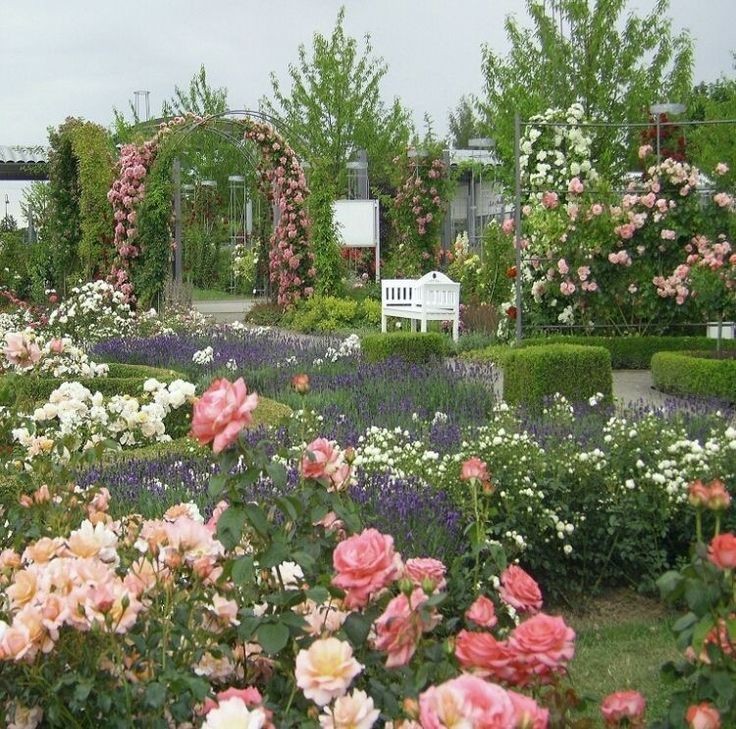 softdeIicacy's tweet photo. i need a secret garden; https://t.co/e37LjPDZ4J