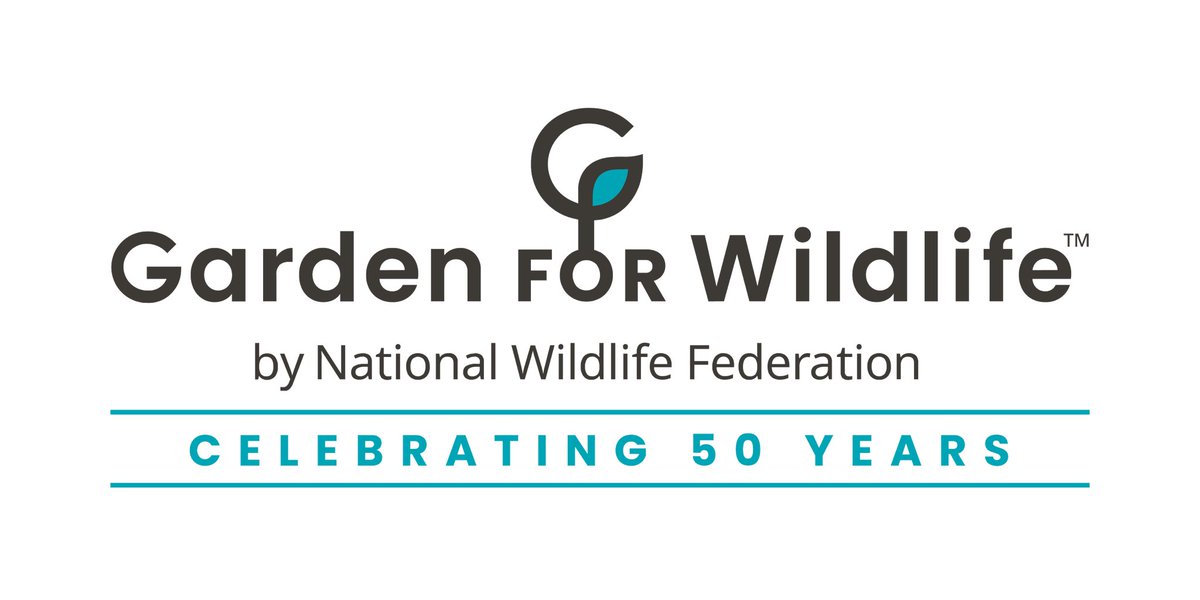 MarthaStewart's tweet photo. Congratulations to @NWF's Certified Wildlife Habitat®/Garden for Wildlife™ program for 50 years + reaching 299K Certified habitat gardens nationwide. @Dmizejewski from NWF was on my show several times. Register ur native plant garden like I did to support birds, butterflies, bees + help us reach 300K habitats! Go to https://t.co/n1Qj6mdZmp for more.