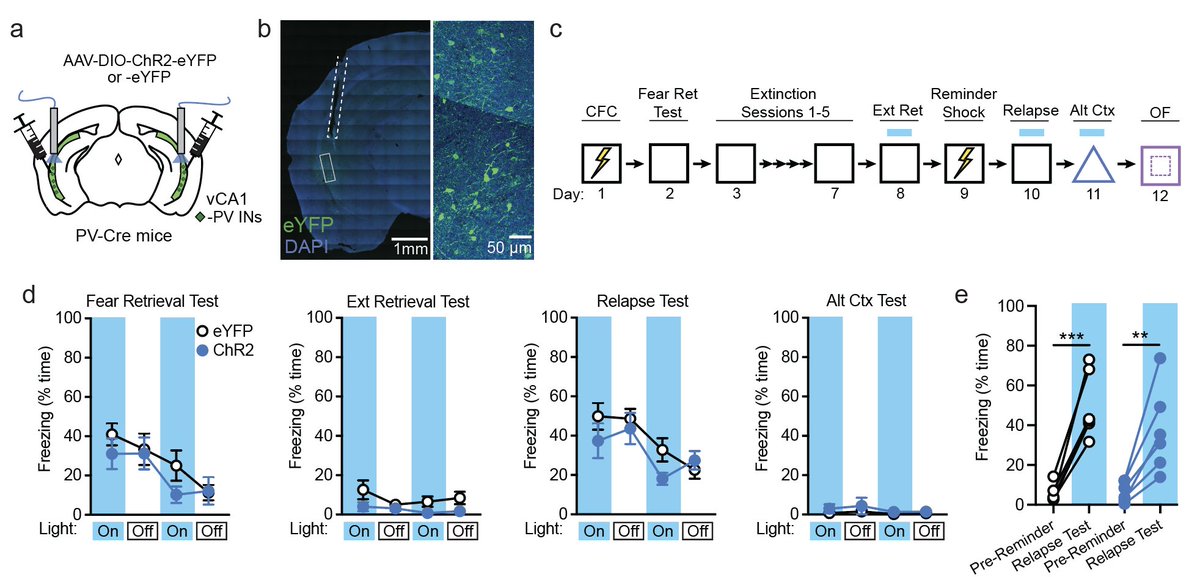 Brain Matters tweet media