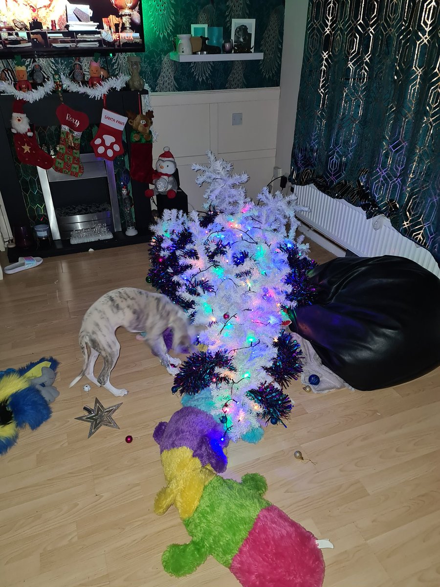 @SurreyGrey Hoping our tree lasts a bit longer this year 😲🤣 wasn't a good idea with 2 4 months old pups 🐾💙🐕
