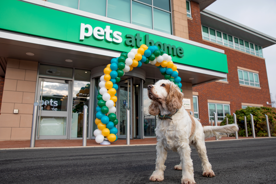 AbrilQuim's tweet photo. 🔊Te presento $PETS (Pets at Home), Small Cap inglesa que compone nuestra cartera de acciones estables en Equity Small Caps FI.
$PETS es un minorista multicanal especializado en alimentos, productos relacionados y accesorios para mascotas en el Reino Unido. https://t.co/ywM99kUiqw