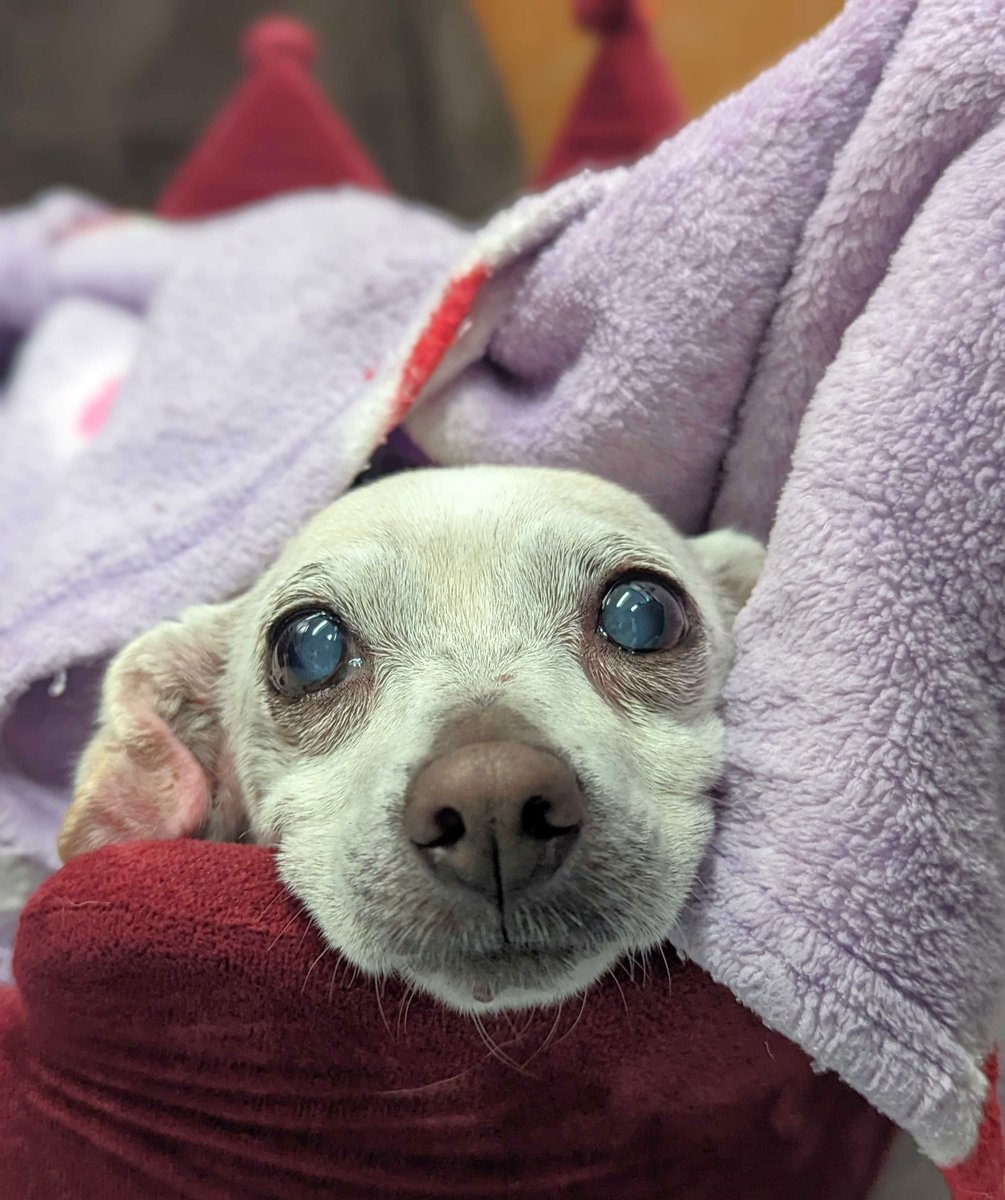 ❤️ 💜 🧡 💙 💛 Who will take me home!? ❤️ 💜 🧡 💙 💛