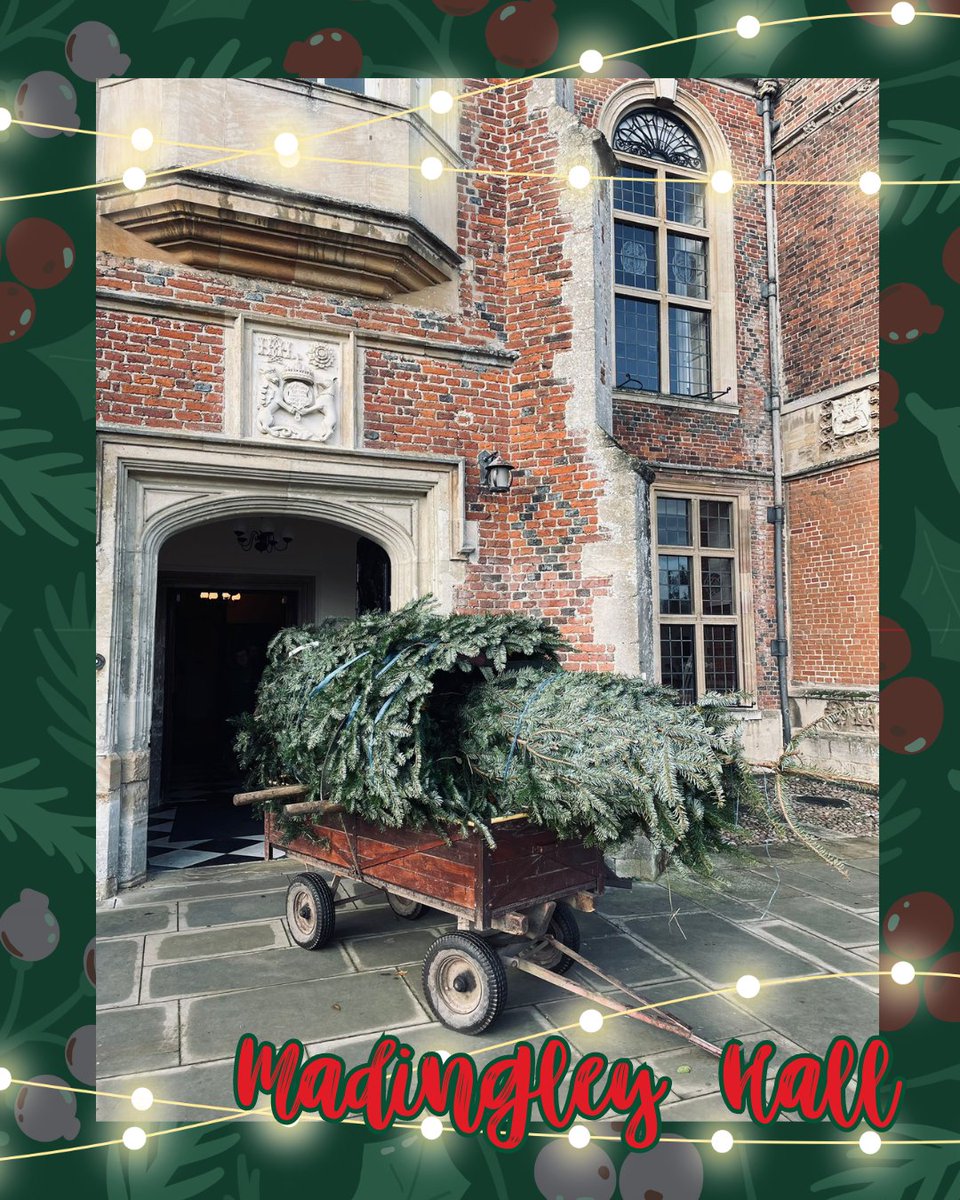 🎄✨ Christmas decorations have officially landed!🌟🎅 Immerse yourself in the holiday spirit as you stroll through our beautiful spaces. Join us in celebrating the most wonderful time of the year at Madingley Hall! 🌲🏰 #MadingleyHallMagic #FestiveSeason #ChristmasDecorations