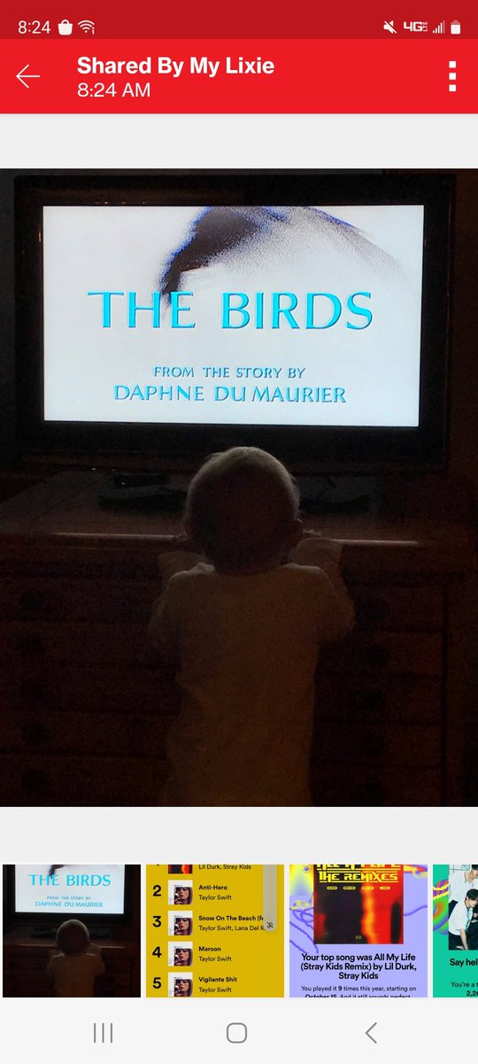 Finally listening to <a href="/FailureAdapt/">FailureToAdaptPodcast</a> s coverage of The Birds. So to commemorate, here's arguably the best pic my wife has ever taken of our child in Bodega Bay