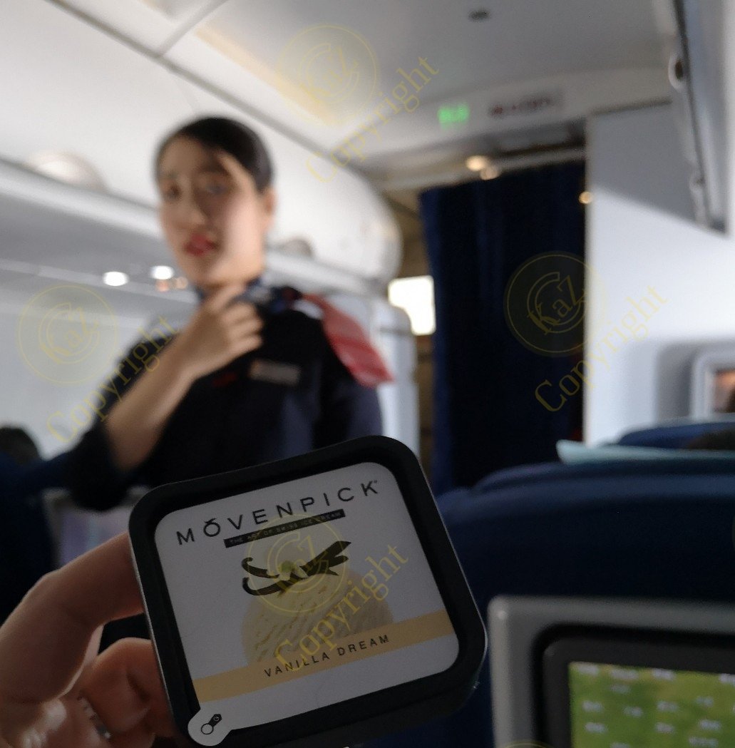 scarabeo2010's tweet image. 機内アイスと言えばハーゲンダッツですが、MUビジネスクラスでたまに提供されるモーベンピック(スイスブランド)も中々美味しいですよ。初めて出された時は上海→ハノイだったので中共製かと思い恐る恐る食べた思い出ww
#MOVENPICK
#モーベンピックアイス