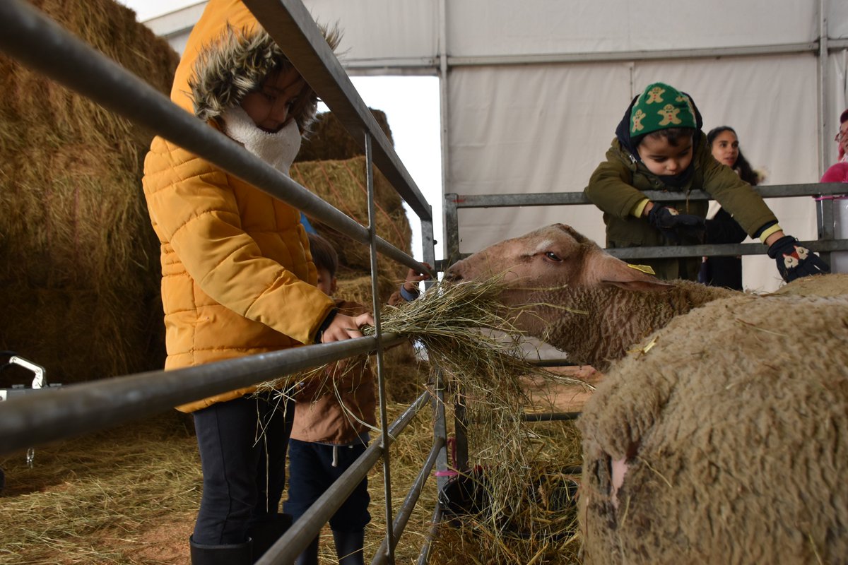 Capr'Inov tweet media