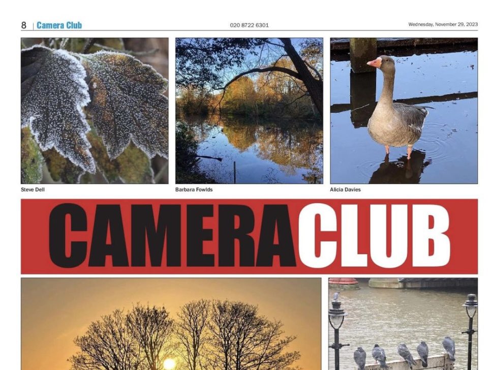 skylark22BHC1's tweet photo. Surprised and delighted to see my Kelsey Park autumn colours pic in this week’s #Bromley @NewsShopper in the Camera Club section.   Thank you so much and well done the others for their lovely pictures featured. #FOKP https://t.co/JUeGgl7w4P