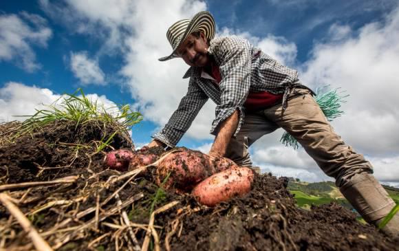 Los campesinos son la razón de ser de este país #JurisdiccionAgrariaYa