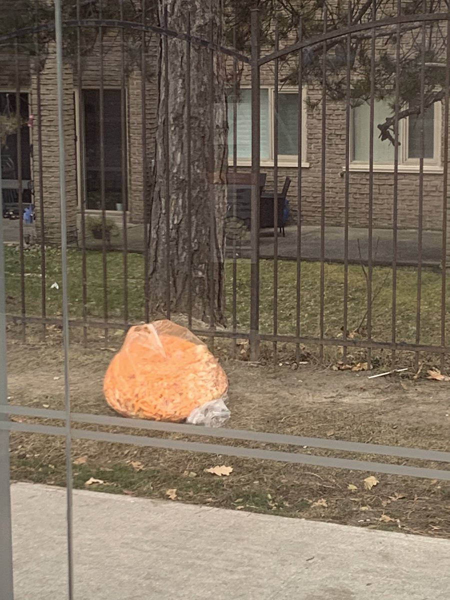 Glenn Sumi tweet media