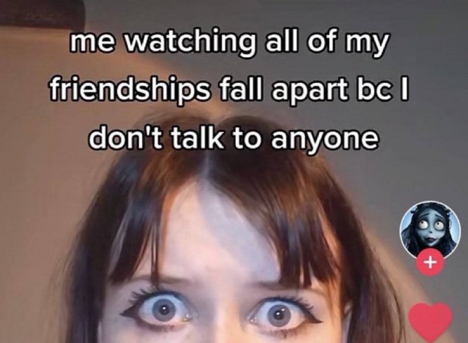 wildtiktokss's tweet image. 