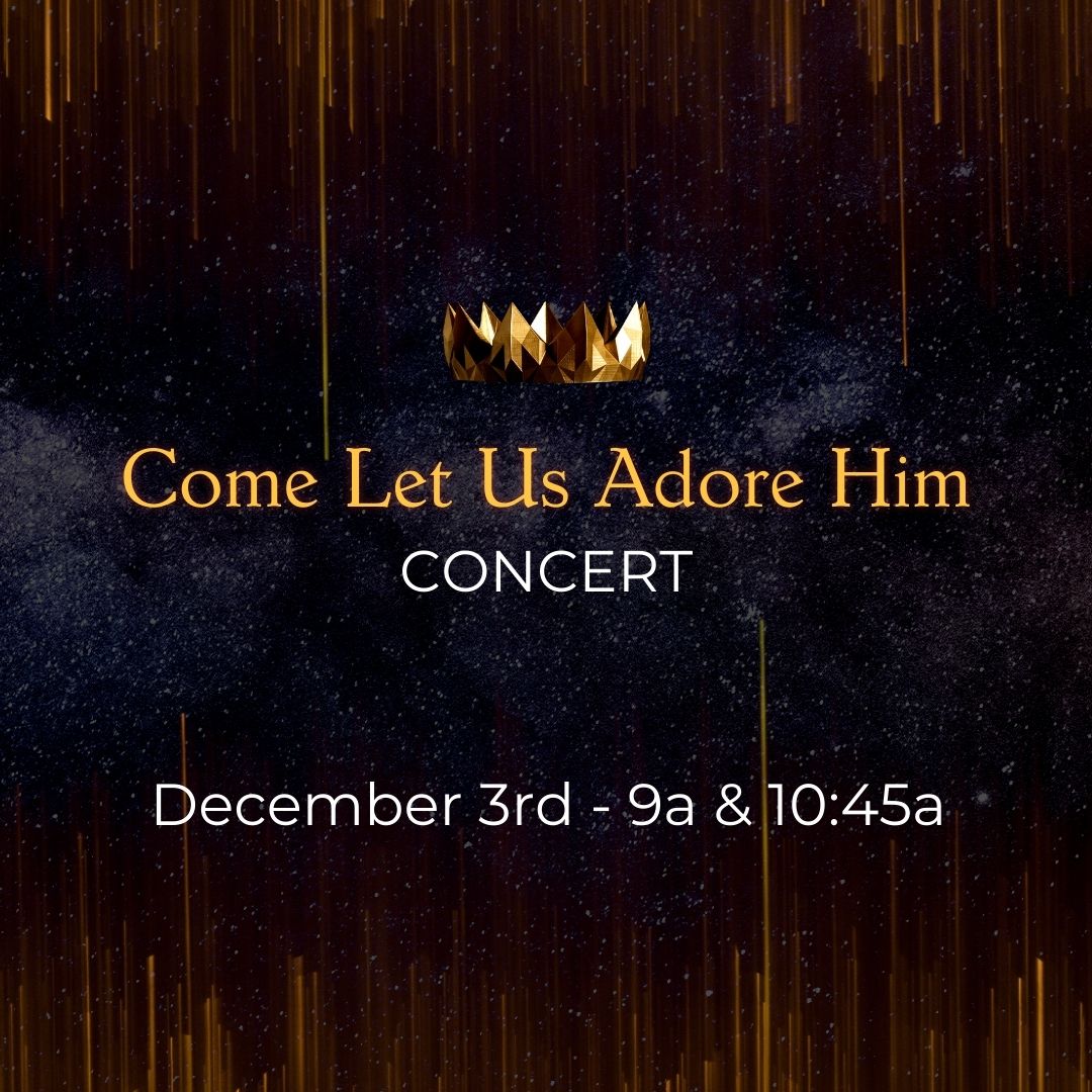 Hope you'll join us for a special Christmas concert during worship this Sunday!  We'll be lead in worship by an ensemble, kids, and youth, and will have a special Christmas message as well.