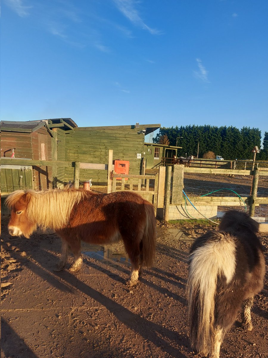 RoseannaBridge's tweet photo. Well, I didn't expect to be in my wellies getting muddy as a Trainee Clinical Psychologist! But Wow-Wisbech Community Farm! What an amazing place doing fantastic work with clients in the local community! #socialenterprise #community #mentalhealth https://t.co/TSxwzS2Jcm