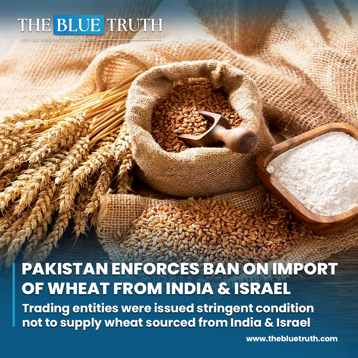 thebluetruth_'s tweet image. Pak enforces ban on import of wheat from India &amp;amp; Israel.
Global trading entities were issued stringent conditions not to supply wheat sourced from India &amp;amp; Israel.

#wheattrade #pakistantradepolicy #globaltradedynamics
#internationalrelations #importban #tbt #TheBlueTruth