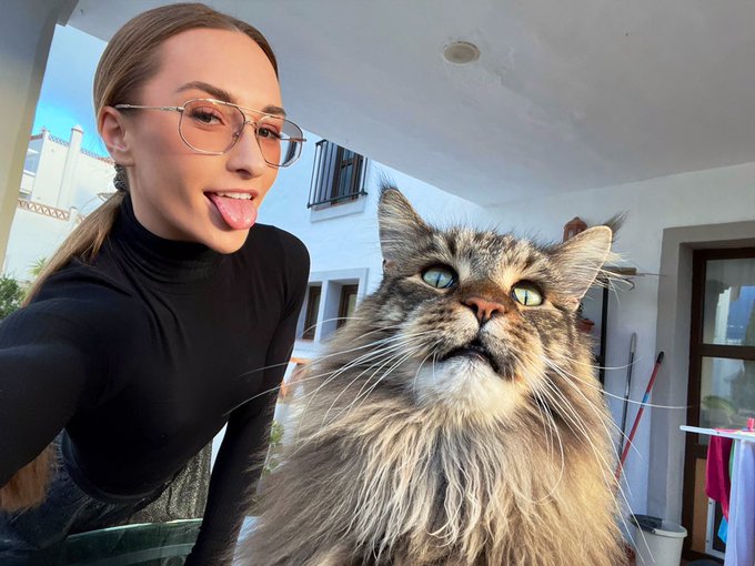 Offline tonight, feeling sick 🤢 have a photo of my and my pussy instead &hellip; https://t.co/kMRTw9zcCj<a href="/tag/summer"class="tags"><span>#summer</span></a>