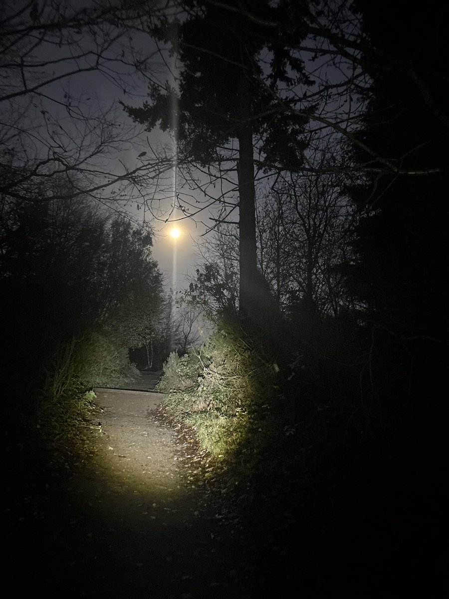 A little moonlight and a little flashlight #fullmoon