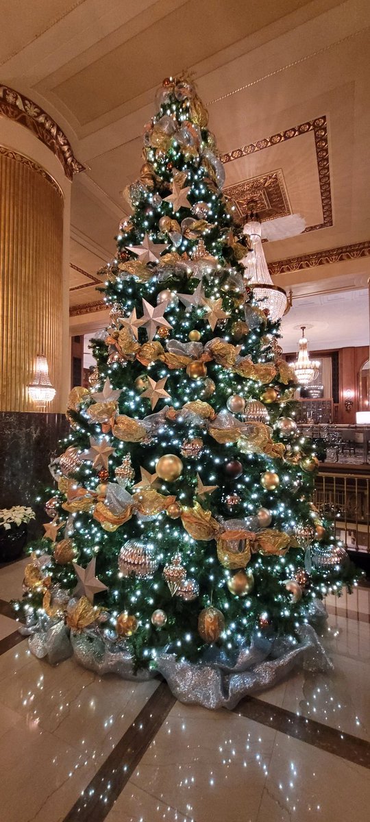 For anyone curious, here are all the photos I have of the (now old) @PonyCiderfest venue, the @HiltonMilwaukee, when it's decorated for the holidays: walking in the entrance downstairs, the view coming up the stairs, and two pics of the lobby Christmas tree