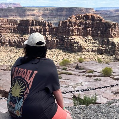 teriwishart's tweet photo. When I visited the USA for the first time this year. Grand Canyon was absolutely amazing #grandcanyon #Arizona #usa #sightseeing https://t.co/lU64BZiJjB